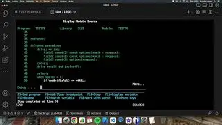 Coding in RPG (IBM i/AS400). Using *nopass and *omit parameter options