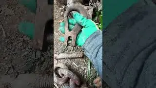 Антуражный металл с лесного поиска.