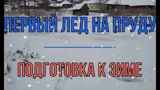 Пруд в деревне своими руками, часть 5. Первый лед. Рыба подо льдом.