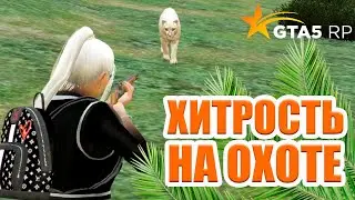 ХИТОРОСТЬ на ОХОТЕ  что бы больше ФАРМИТЬ!  Murrieta GTA 5 RP / ГТА 5 РП