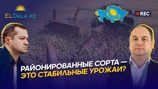 Как увеличить урожайность зерновых в Казахстане? | Савин