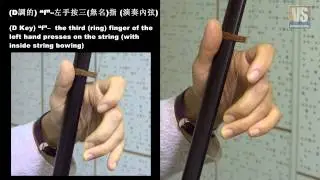 二胡左手示範 Erhu Left hand demonstration (for D Key)