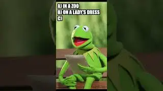 Trivia with Kermit the Frog - Question 104