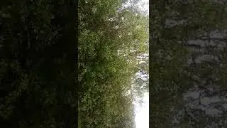 7 июня 2020 г.