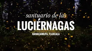 Luciérnagas de Tlaxcala