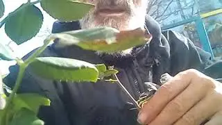 1 ЧАСТЬ ДА БЛАГОСЛАВИТ НАС ВСЕВЫШНЫЙ АМИН.