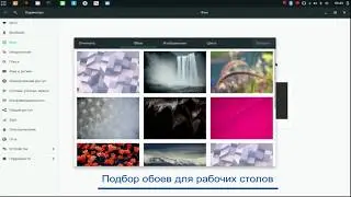 Manjaro Budgie (17.1.2)
