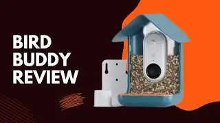 Bring the Birds to Your Backyard: Bird Buddy Review