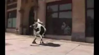 crazy_cow_i_like_to_muh_by vako_barca LAVASHI.COM.wmv