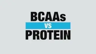 BCAA Supplement vs Protein Supplement - Know Your Supps - BPI Sports