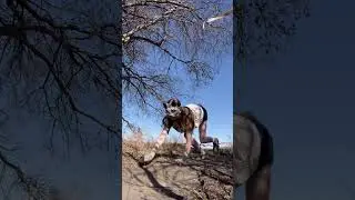 #youtubeshorts