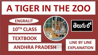 A TIGER IN THE ZOO | ENGLISH | 10TH CLASS | LINE BY LINE EXPLANATION | IN TELUGU | AP NEW SYLLABUS |