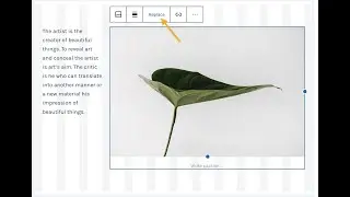 How to launch your podcast website on WordPress.com using Spearhead