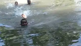 সাঁতার প্রতিযোগিতা হচ্ছে