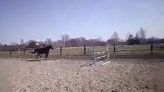 video 1586024593