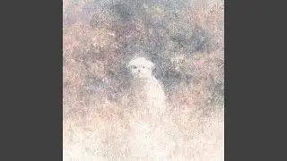 stay! (알자나..)