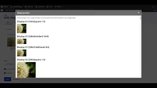 Edit Image Test Flower 1 dev Varbase 8.8.6 focal point - Varbase Media Image styles - media library