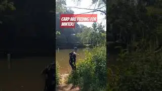 JUST ANOTHER TAKEDOWN