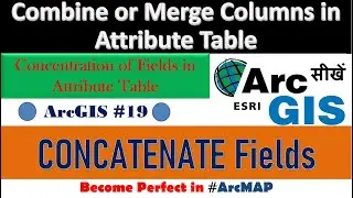 ArcGIS Tutorial 19: How to Combine or Concatenate Columns (Fields) of Attributes Table