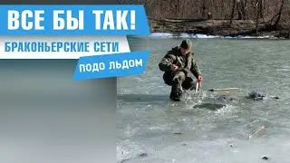 Что делать, если видишь браконьерские сети?