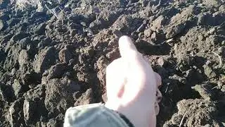 Пахота мтз 80