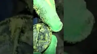 A FIND IN A GERMAN DUGOUT!!! / НАХОДКА В НЕМЕЦКОМ БЛИНДАЖЕ !!!