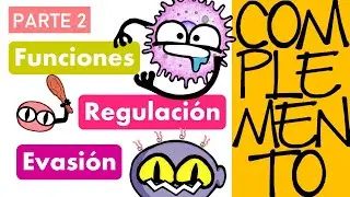 Sistema del Complemento | Parte 2 | Funciones, Regulación y Evasión