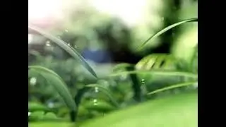 intro without Nature