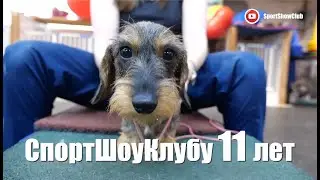 СпортШоуКлуб спустя 11 лет