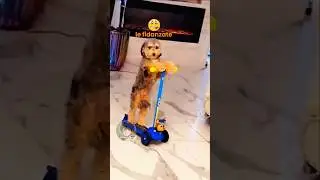 🐶 Vita da cani (PARTE 22)