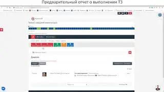 Предварительный отчет