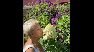 #Каталог