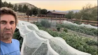 Garden update for the members