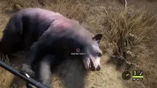 TheHunter - Call of the wild - hunting