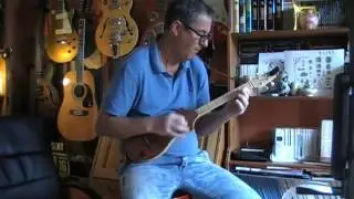 Hotel California - Eagles Cover - Seagull Merlin