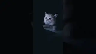 Спалился)))