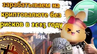 как заработать на криптовалюте без рисков в 2023 году