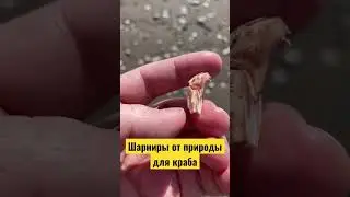 Вот это природа! Вот это да