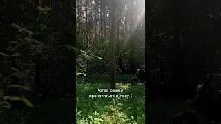 Когда решил прокатиться в лесу 😁