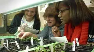 STEM Iowa Case Study