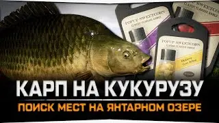 Ловля Карпа на кукурузу • Янтарное озеро • Русская Рыбалка 4