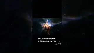 #consciousness