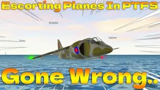 I Escorted Random Planes In PTFS Pt.2 (Roblox)