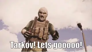 Tarkov Schizophrenia