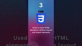 TOP 5 Frontend Programming Languages in 2023 👨‍💻 
