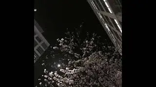 agony - yung lean instrumental remix (sped up)