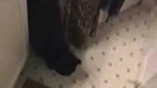 Pee Police
