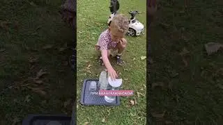 О религиозных садах в Германии, обсудим? 