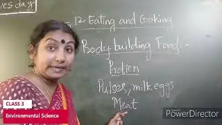 CLASS -3 || EVS ( Environmental Science)|| THE MASTERMINDS SCHOOL- SUCHITRA