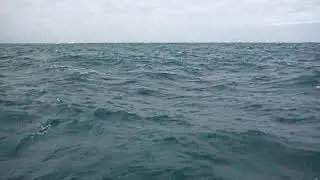 MOV00894